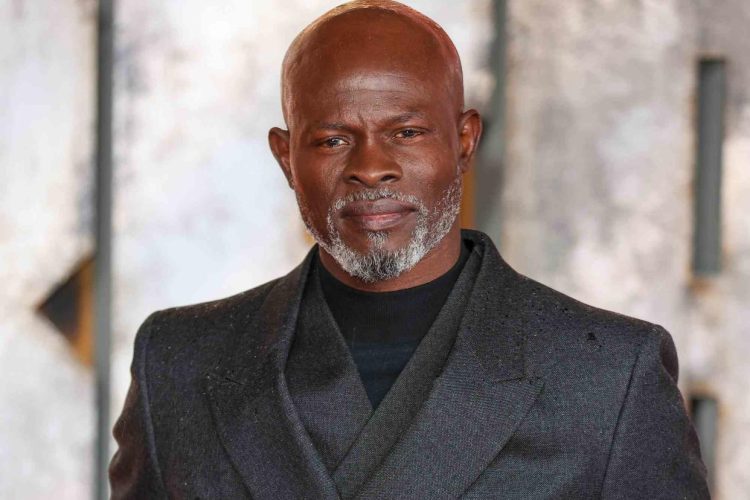 Djimon Hounsou (Image via Getty)