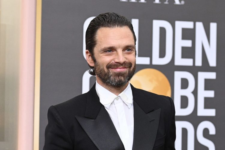 Sebastian Stan (Image via Getty)