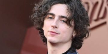 Timothée Chalamet (Credit: Pinterest)