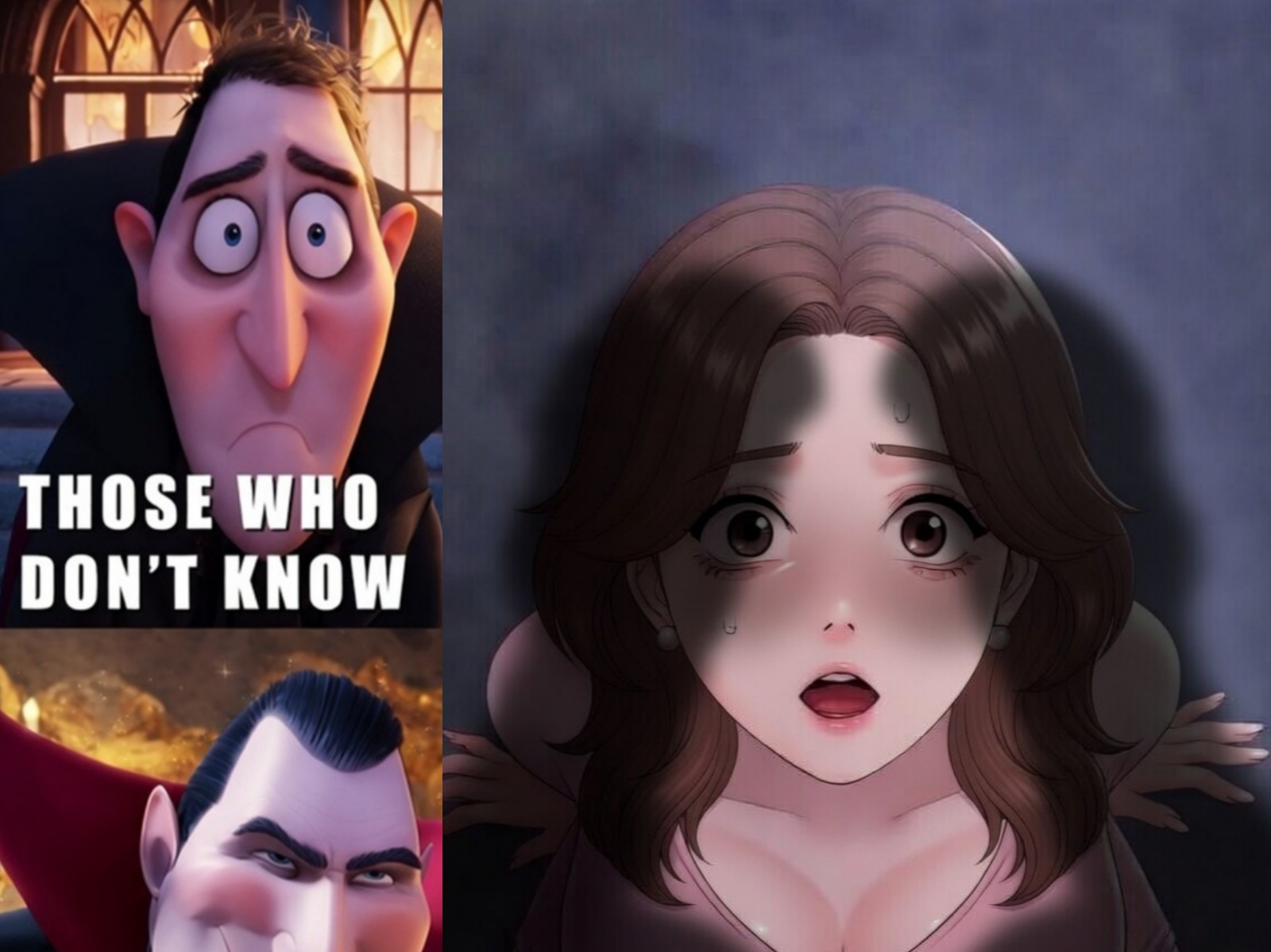 Delicious meme from Top 13 Action-Packed Anime That The Fable Fans Will Enjoy