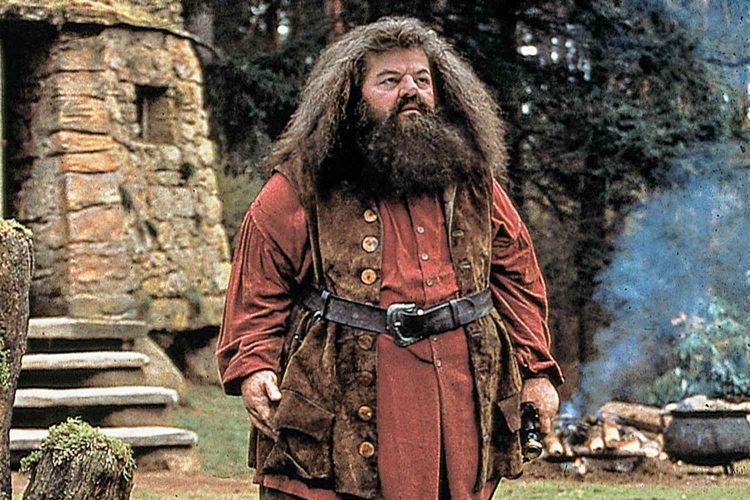 Hagrid (Image via Getty)