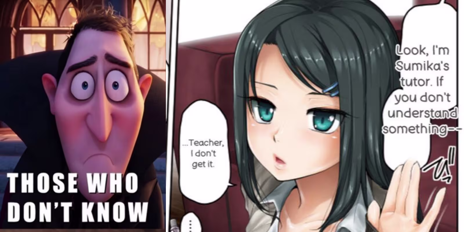 Sumikomeme from 10 Best Romance Anime For the Fans of More Than A Married Couple, But Not Lovers