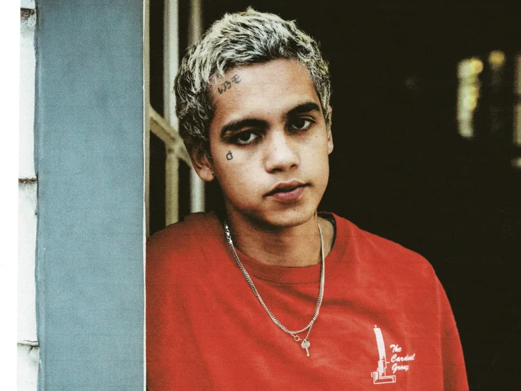 Dominic Fike (Image via Getty)