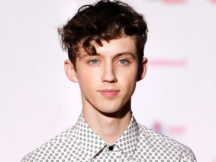 Troye Sivan (Image via Getty)