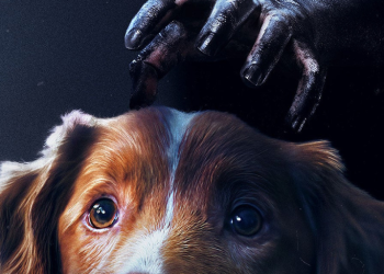 Good Boy