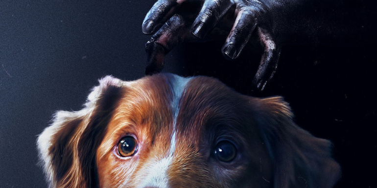 Good Boy