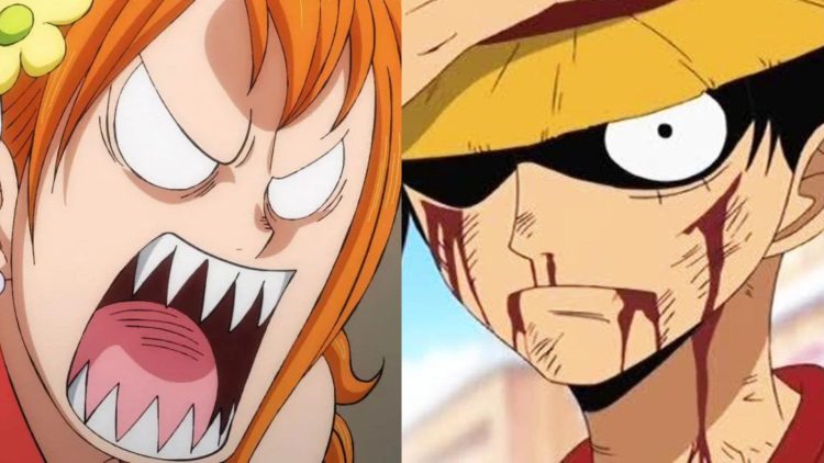 One Piece Fan Base Called “Mad and Dumb” in Social Media Brawl