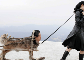 Lady Vengeance
