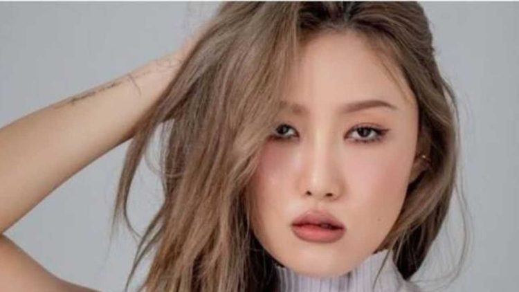 Gyfsh(9) - A Decade in the Making: Hwa Sa Announces First Solo Concert "MI CASA"