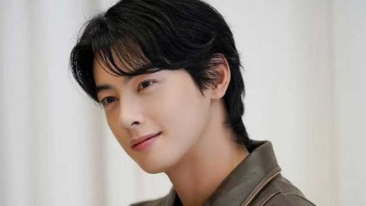 Hwubw(1) - Official Statement and Investigation: Cha Eun Woo’s Agency Addresses Major Tax Evasion Allegations