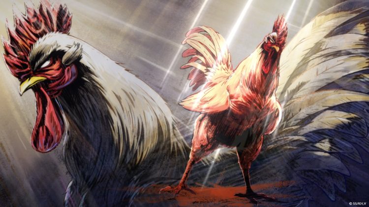 Rooster Fighter Anime