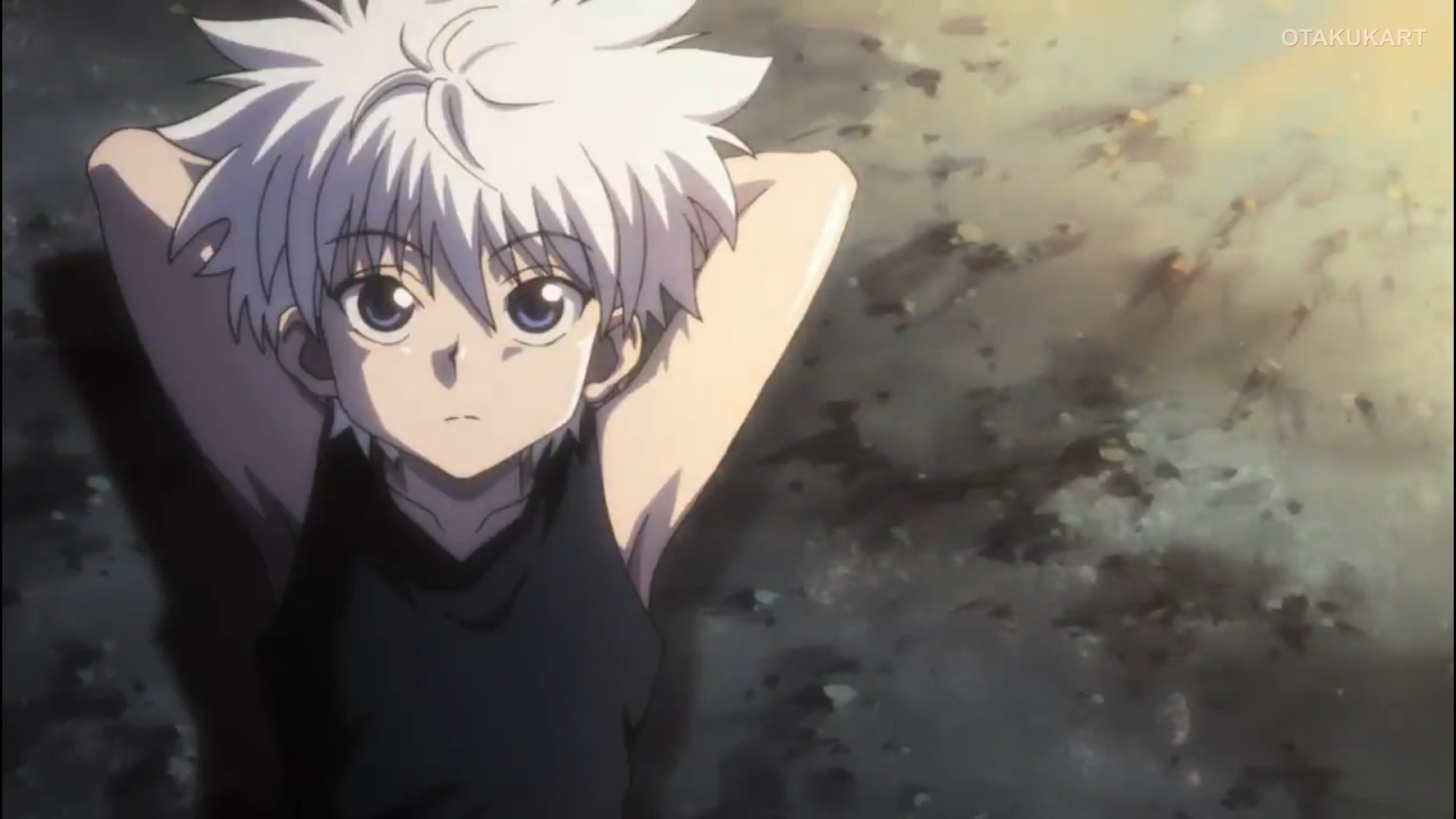Hunter x Hunter