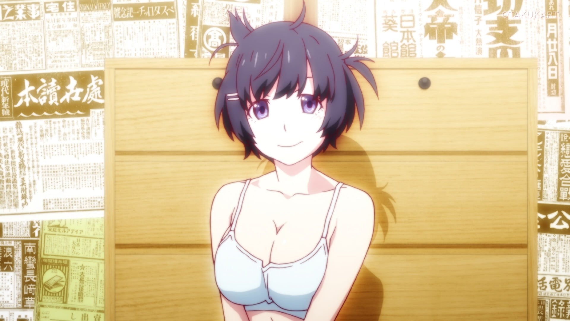 Monogatari Series