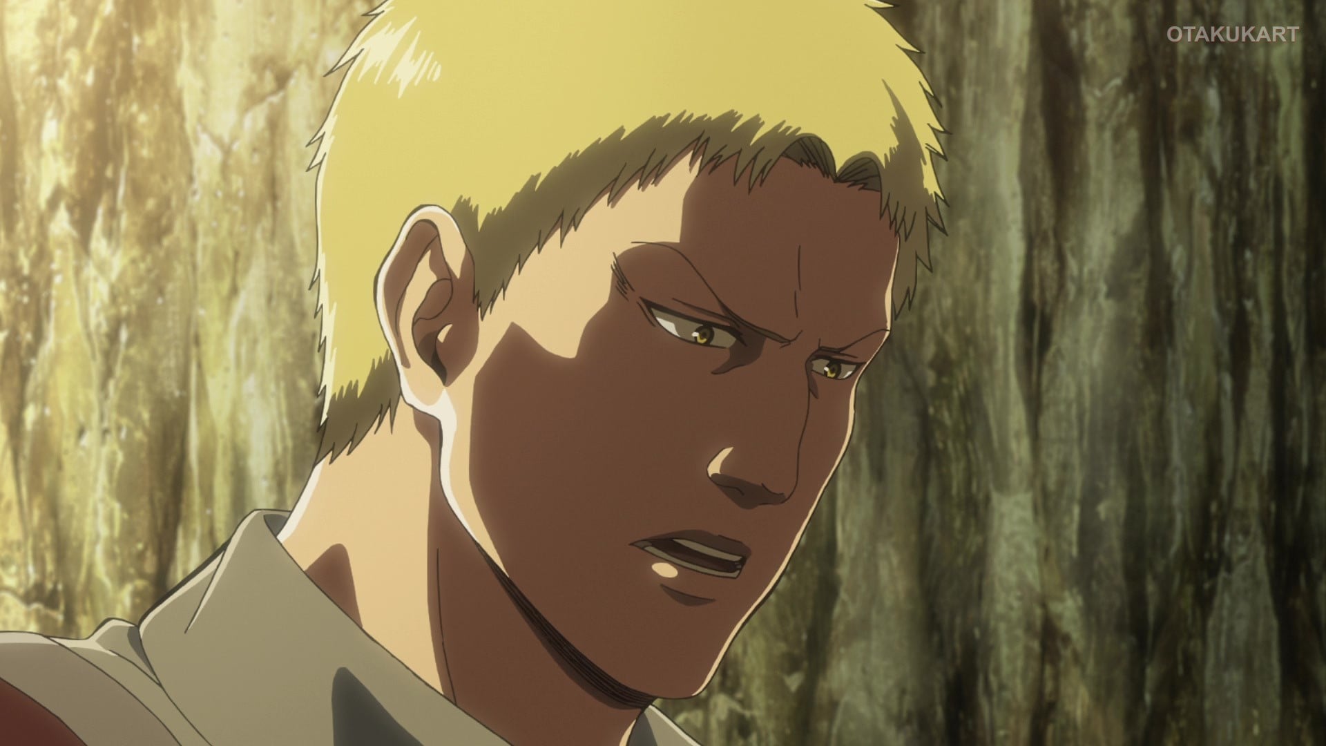 Reiner Braun