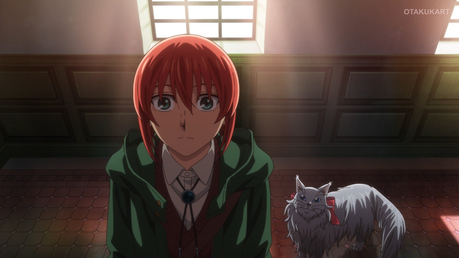 The Ancient Magus' Bride