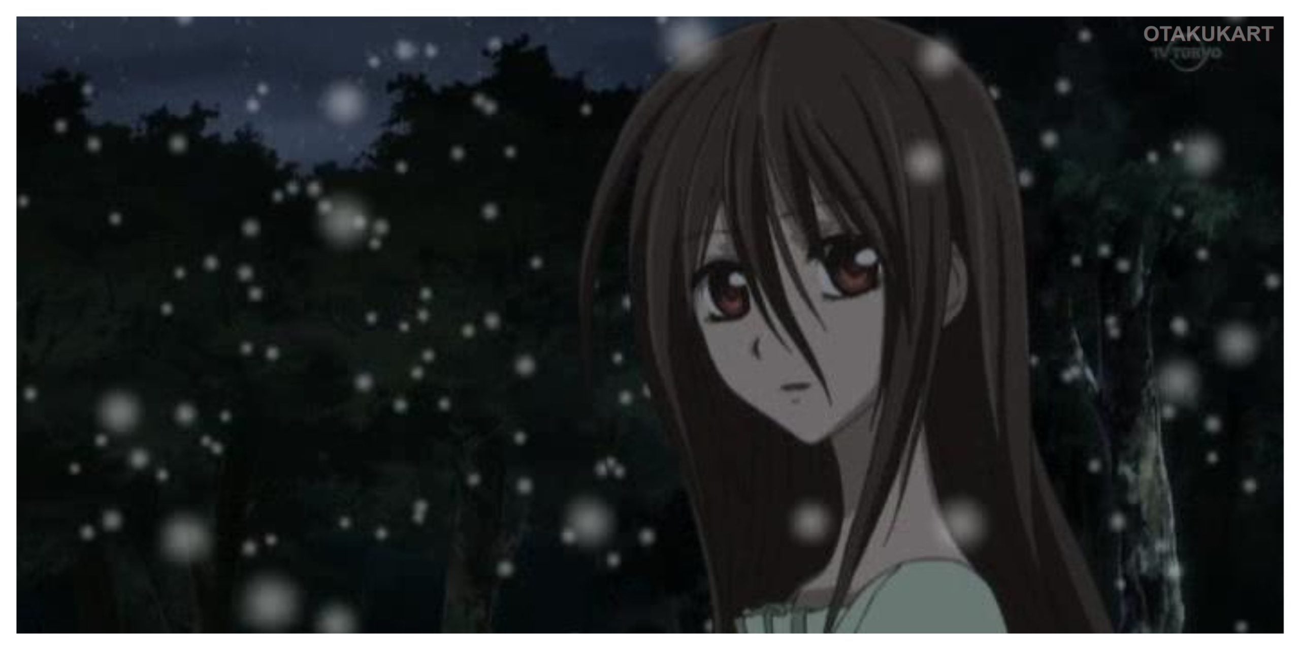 Yuki Cross from Vampire Knight