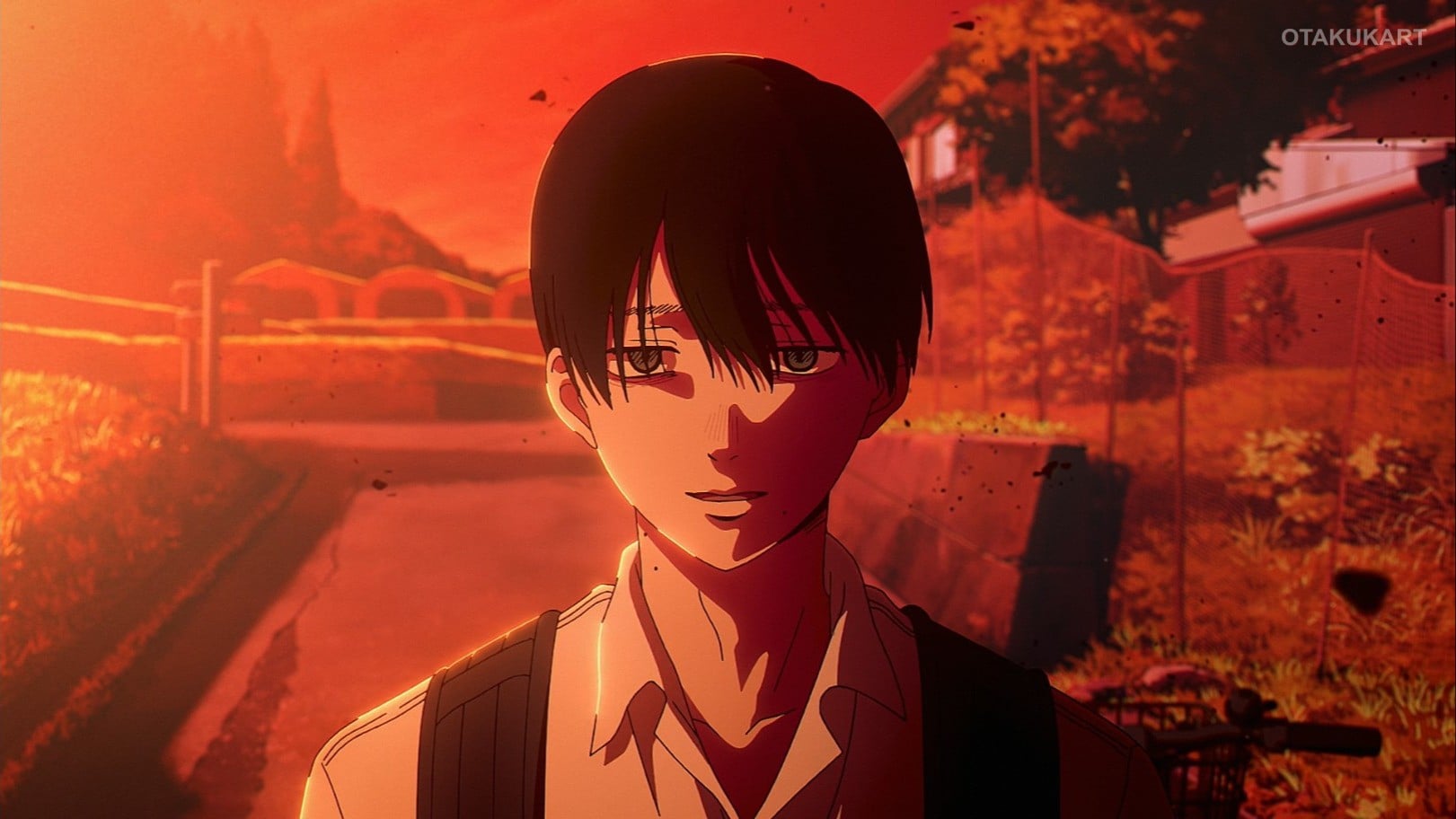 The Summer Hikaru Died