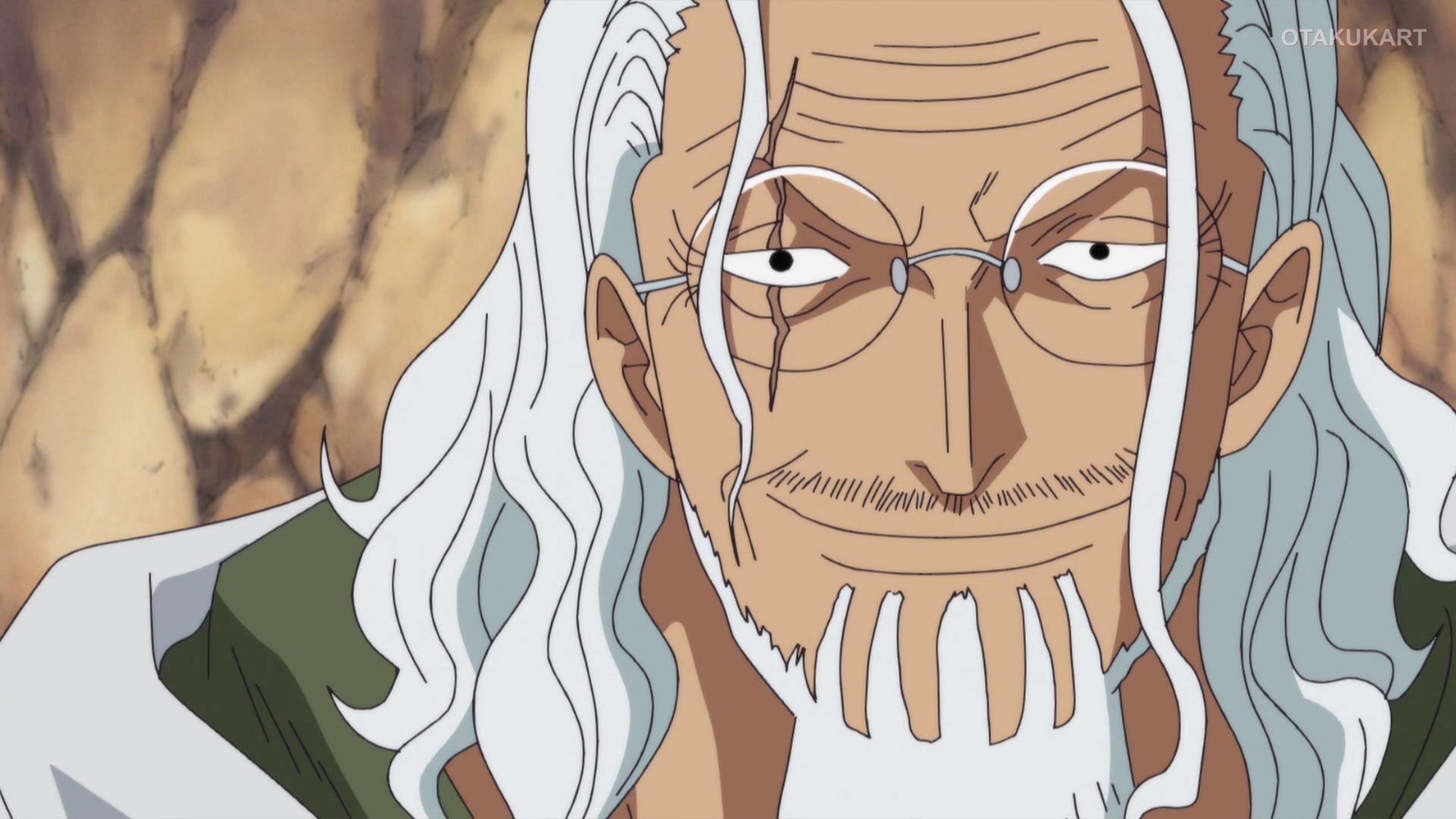 Silvers Rayleigh from One Piece