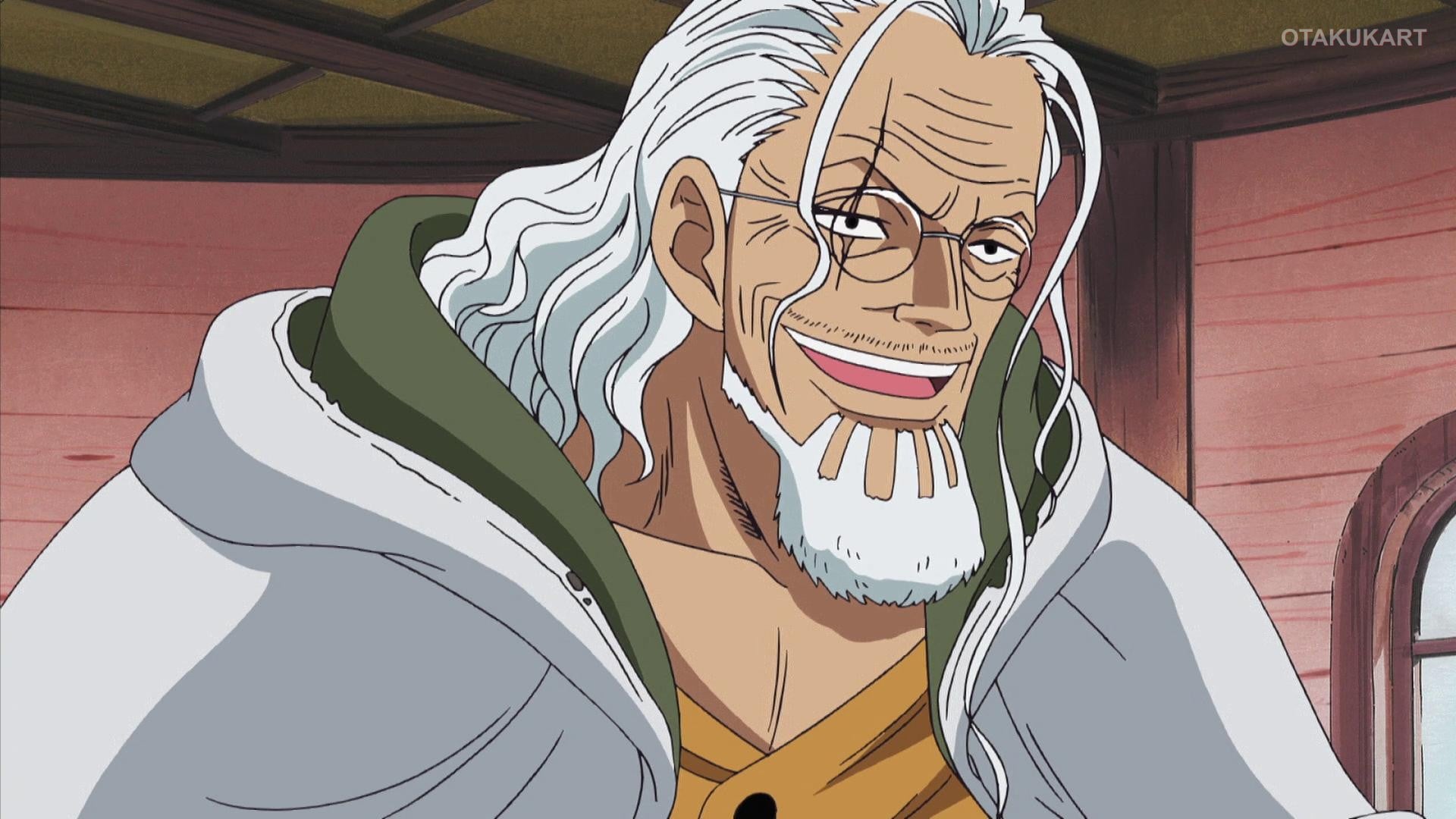 Silvers Rayleigh from One Piece