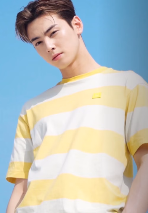 Cha Eun-woo