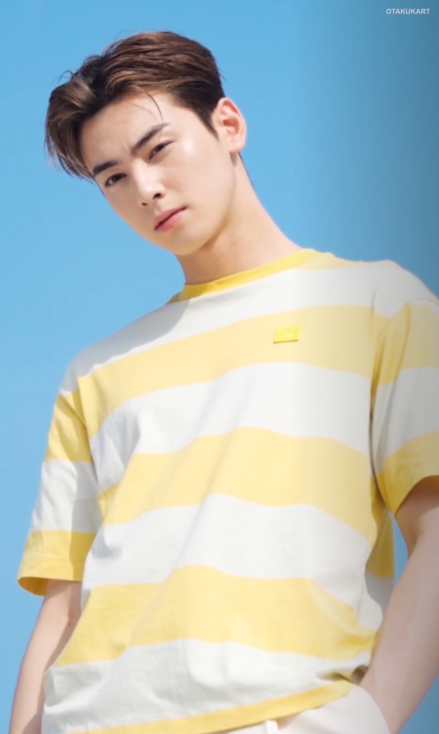 Cha Eun-woo