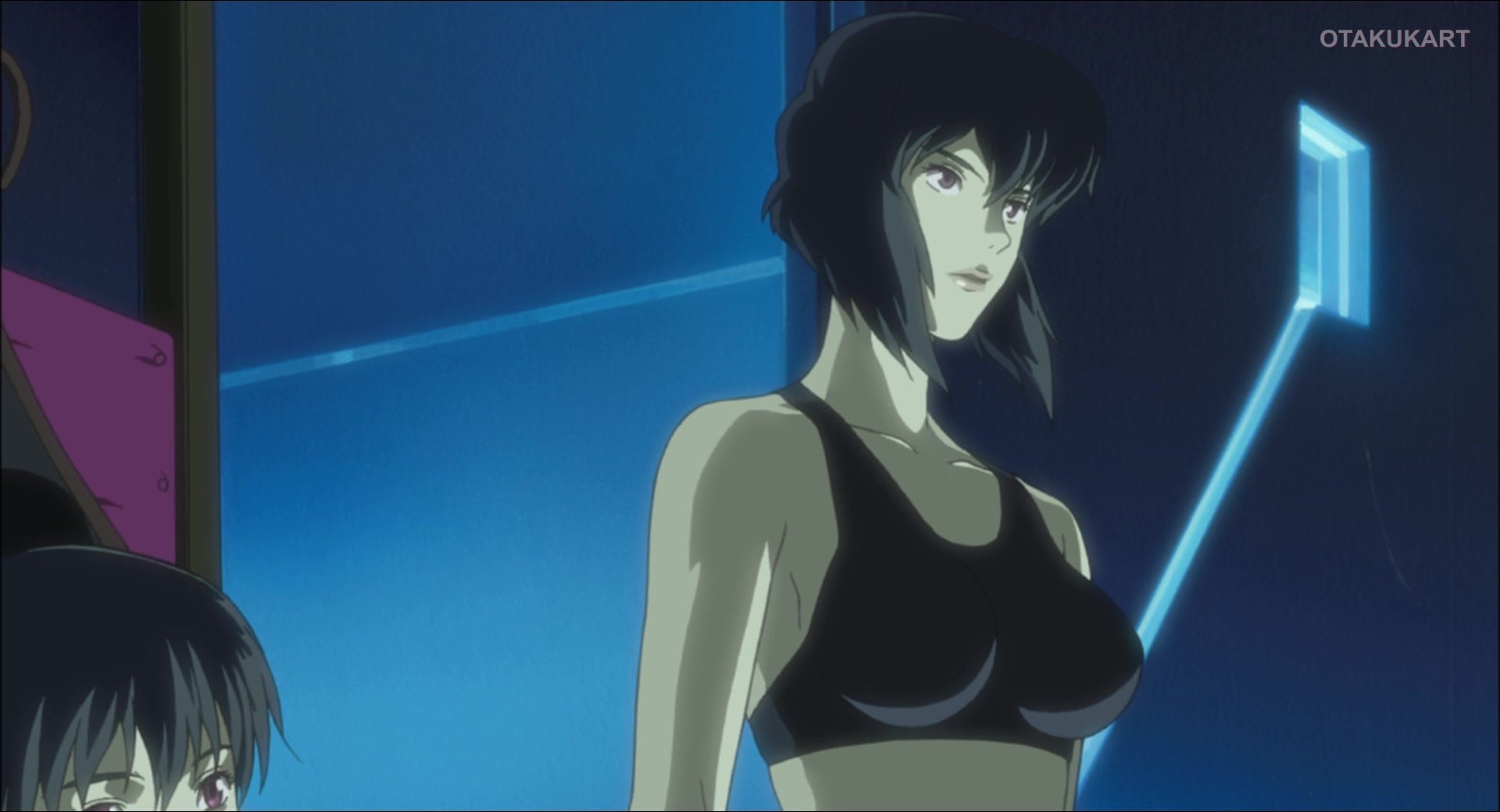 Ghost in the Shell: Stand Alone Complex