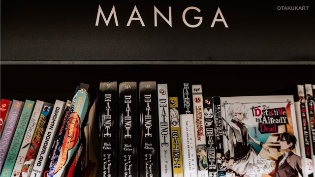 4 Basic Proportion Rules Can Teach Beginners How to Draw Manga