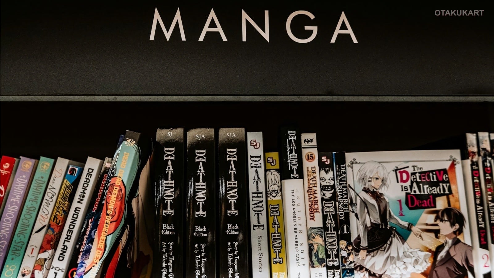 4 Basic Proportion Rules Can Teach Beginners How to Draw Manga