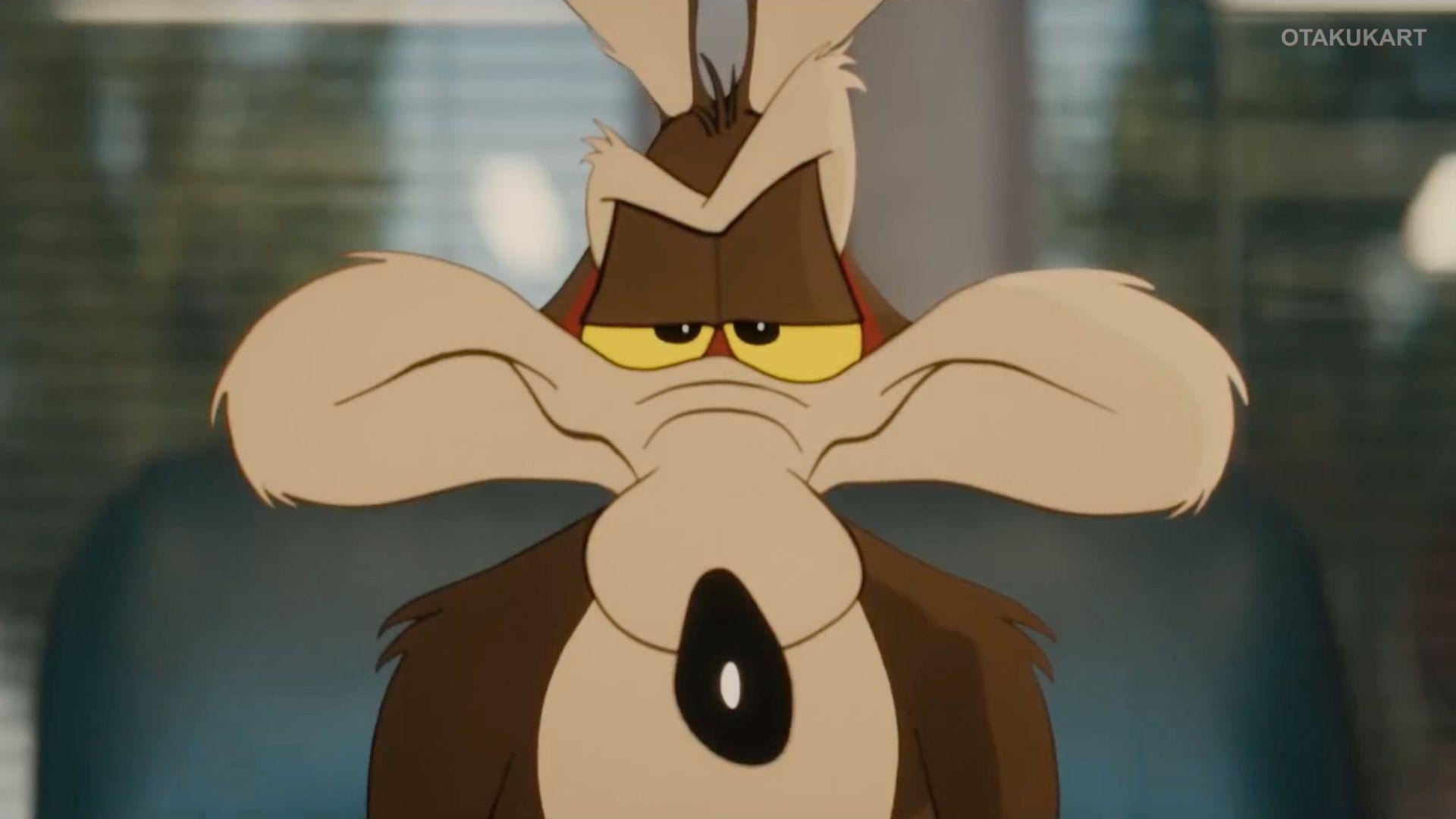 Coyote vs. Acme