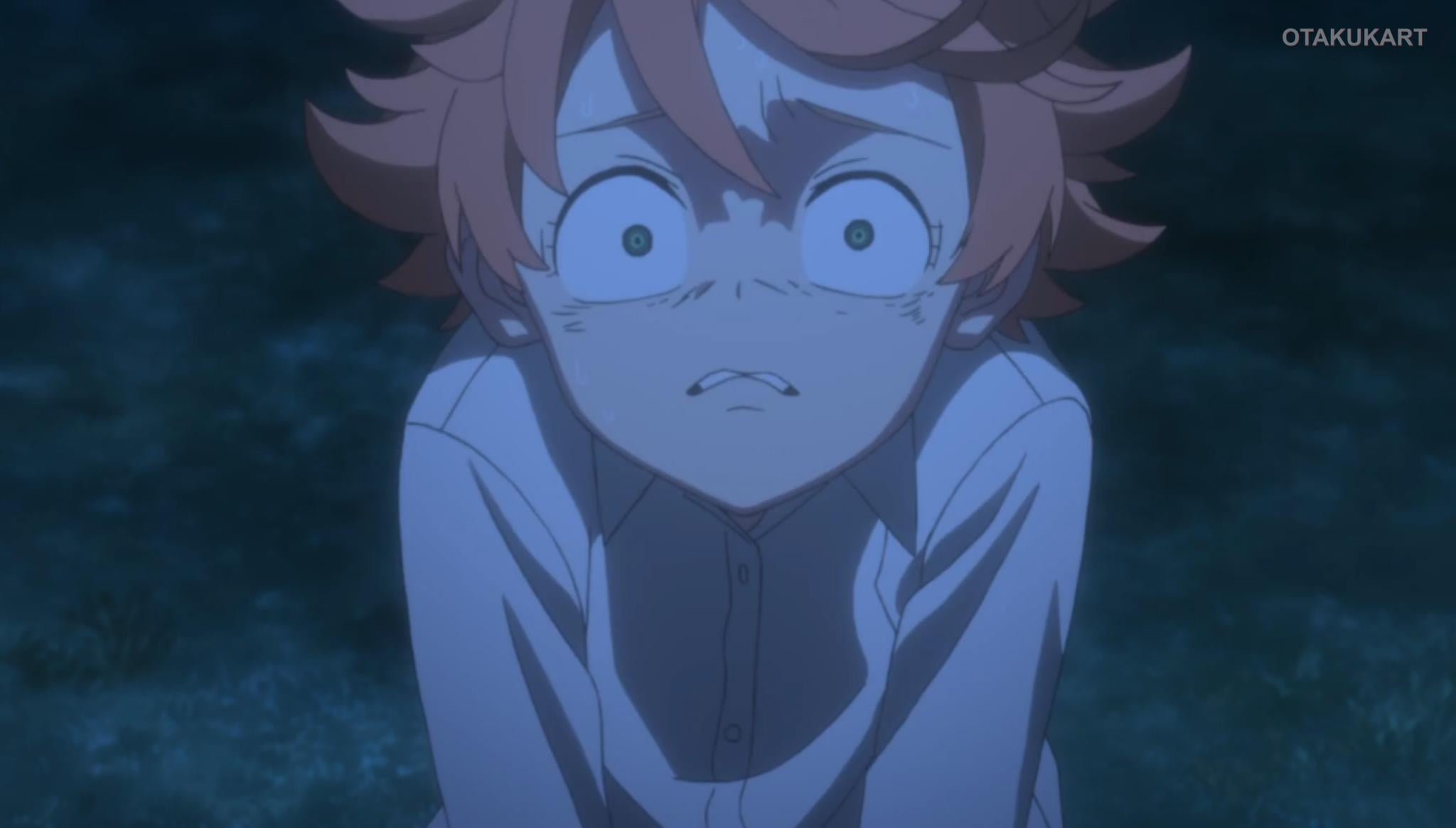 The Promised Neverland