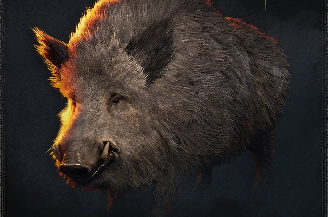 The Blood of Dawnwalker Update 1.1 Will Nerf Aggressive Boars and Add a New Difficulty Option
